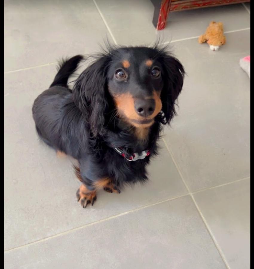 patricia-p.-jonquerettes