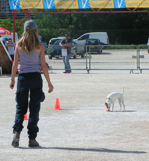 dogodom Avignon