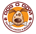 dogodom.com